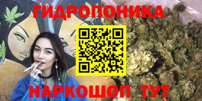 мдпв Ливны