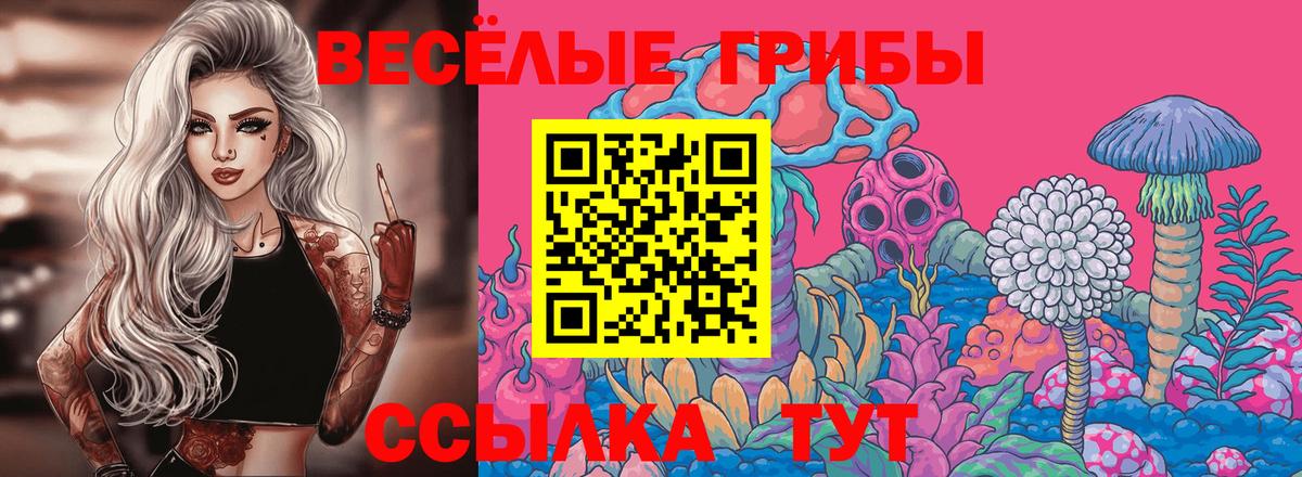Галлюциногенные грибы GOLDEN TEACHER Ефремов